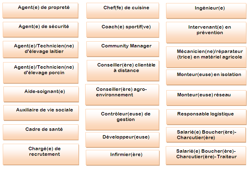 Compétences Transversales En Lycée Professionnel